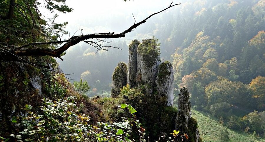 Ojcow National Park: Full-Day Trip from Krakow - Should you book this full-day Ojcow National Park tour?