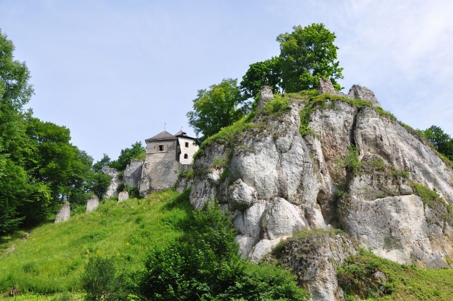 Ojcow National Park: Full-Day Trip from Krakow - Getting from Krakow to Ojcow: start time and minibus comfort