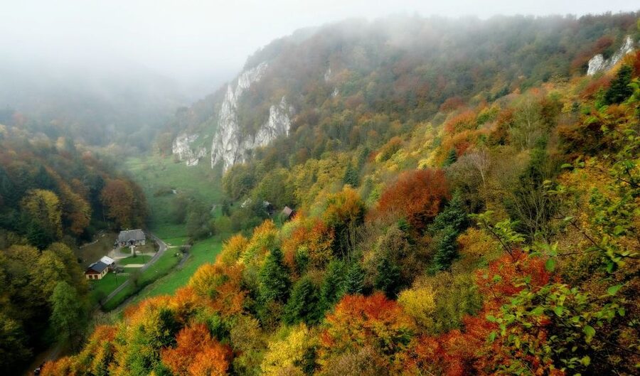Ojcow National Park: Full-Day Trip from Krakow - Pieskowa Skala castle on the limestone cliff: a well-preserved Renaissance visit