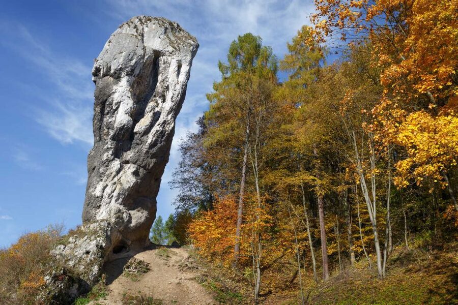 Ojcow National Park: Full-Day Trip from Krakow - Price and what you get for $153 per person