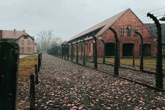 Private Guided Tour Auschwitz Birkenau with Transport from Krakow - Transport Comfort on a Hot Day, and Why the Driver Matters