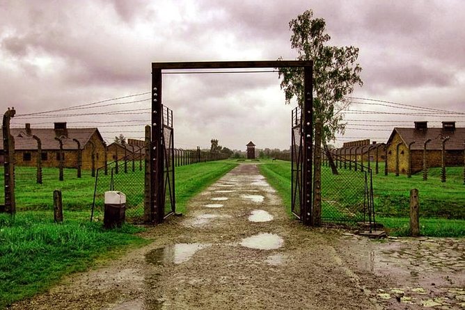 Private Tour to Auschwitz & Birkenau from Katowice - Katowice pickup and the 8:00 am schedule that keeps the day manageable