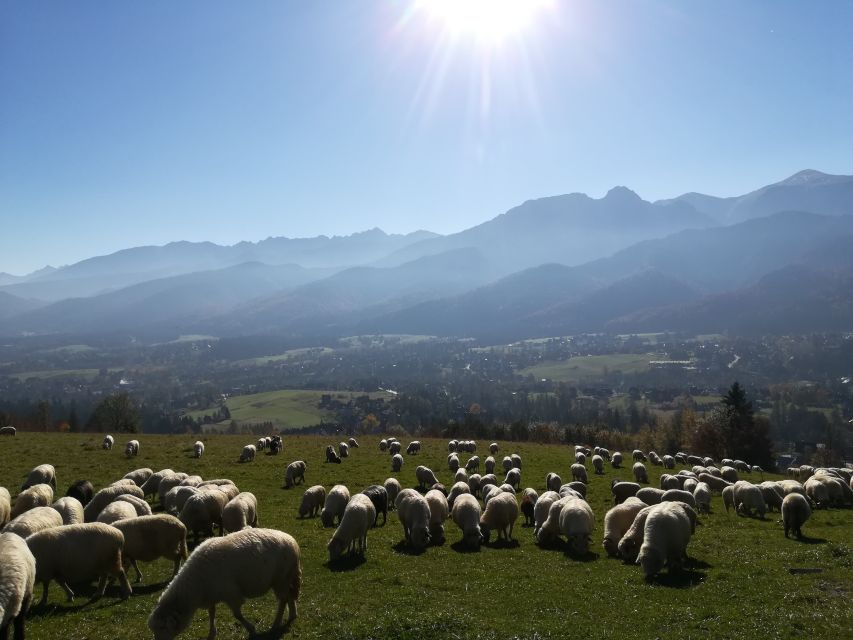 Rafting on Dunajec & Zakopane Tour – Day Trip from Krakow - The Krakow pickup and the drive that keeps the day stress-free