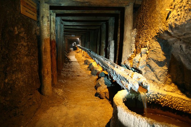 Salt Mine Wieliczka with Private Car from Krakow - Who this salt mine trip is best for
