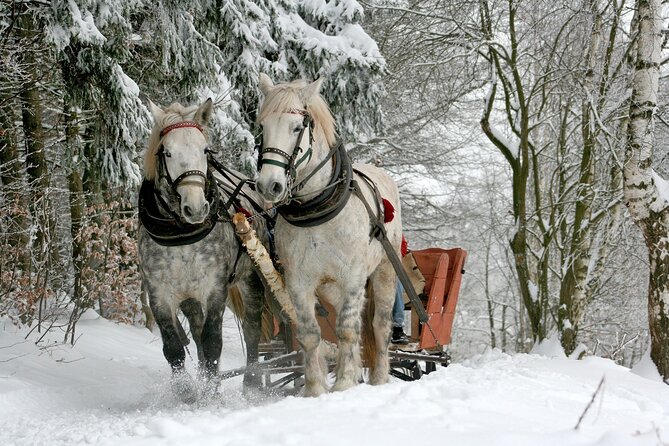 Sleigh Ride & Bonfire in Zakopane with Funicular - Private Trip - Quick Hits Before You Go