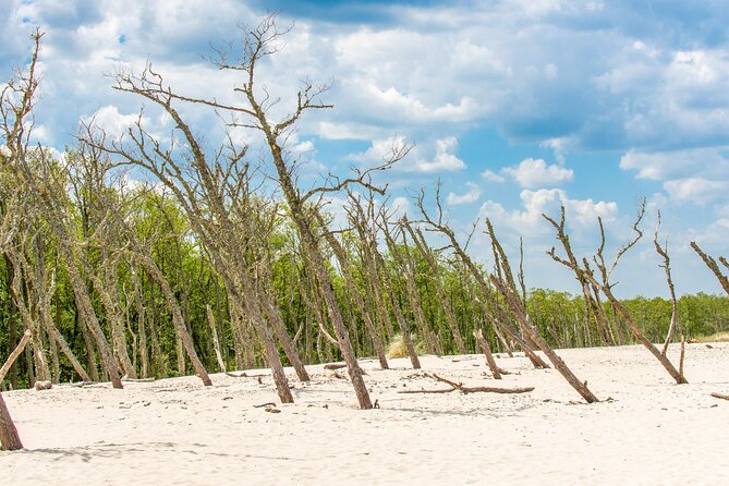 Slowinski National Park Private Tour - What Your Guide Teaches: History, Ecology, and the WWII Layer in the Sand