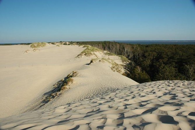 Slowinski National Park Private Tour - Melex Transport and Where It Helps (and Where You Still Need Legs)