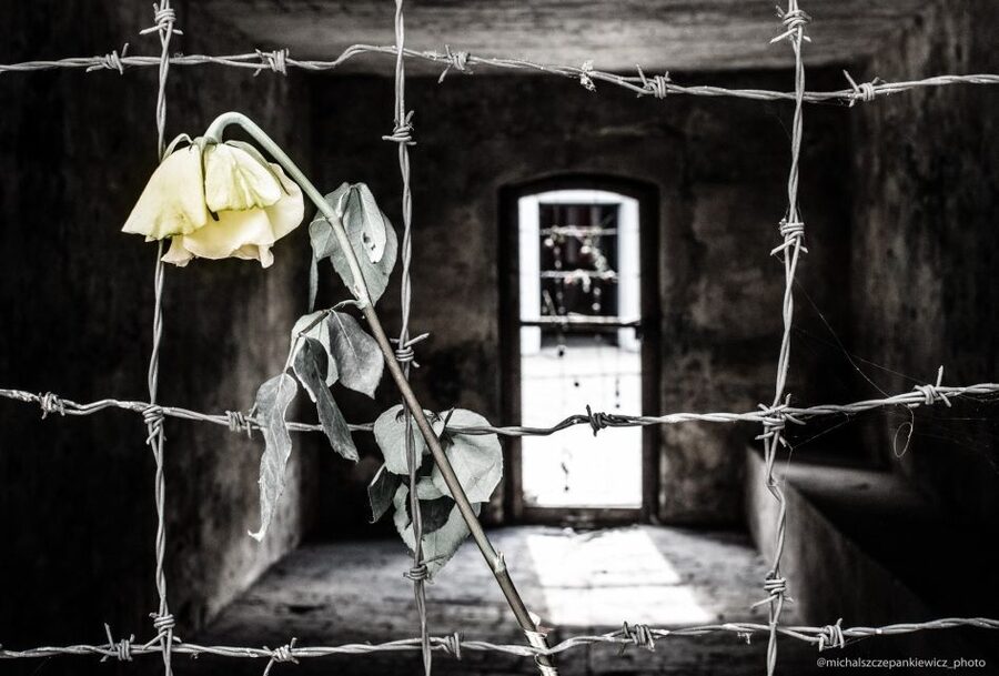 Stutthof Concentration Camp Half-Day Private Tour - Who This Tour Suits Best, and Who Should Consider Another Plan