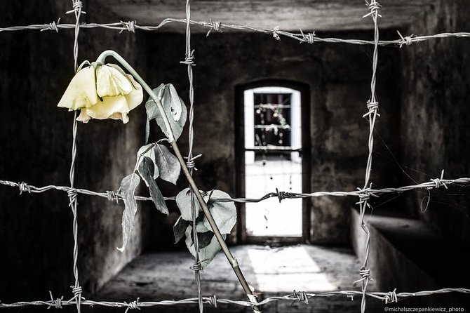 Stutthof Concentration Camp Private Tour from Gdansk - The Stutthof visit: what you’ll see and why it’s guided