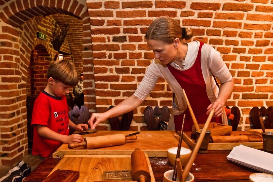 Torun: Private Walking Tour of a Medieval Town - Toruń’s medieval Gothic streets make the story easy to read