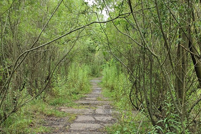 TOUR AL CAMPO DE CONCENTRACIÓN DE PLASZOW. El campo de la Lista de Schindlert. - Ruinas del tanatorio y del cementerio judío: memoria en piedra y silencio