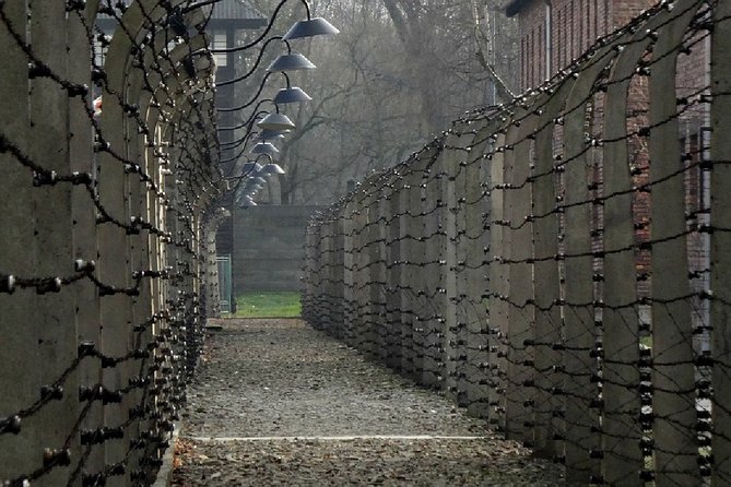 Two Krakow Airport Transfers, Auschwitz-Birkenau & Salt Mine - Getting picked up, getting there, staying sane