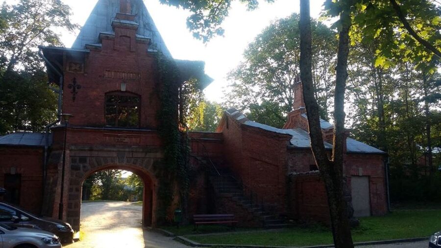Warsaw: Bialowieza National Park and European Bison Tour - The Old-Tree Walk: 3 Hours in the Reserve