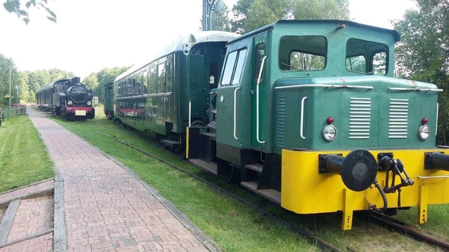 Warsaw: Bialowieza National Park and European Bison Tour - Pickup, Private Transport, and the Reality of Travel Time