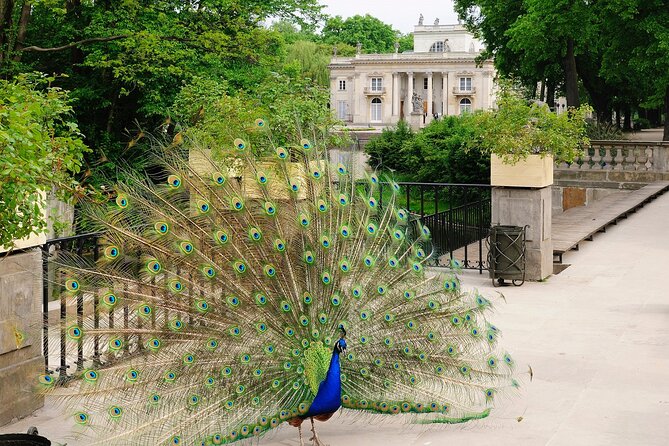 Warsaw City Tour - PRIVATE (4h) - Rynek Starego Miasta, the Mermaid, and the Barbican’s survival geometry