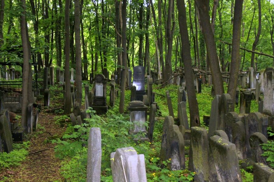 Warsaw Jewish Heritage Private Tour in Retro Fiat - Muranów district and the Jewish Cemetery walk