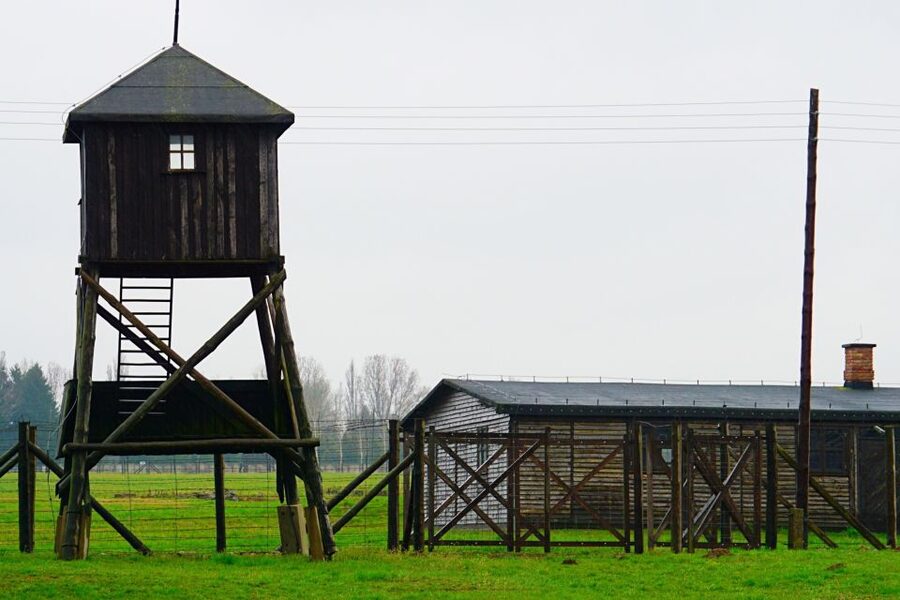 Warsaw: Majdanek Concentration Camp & Lublin Guided Day Tour - Majdanek and Lublin in One 10-Hour Day
