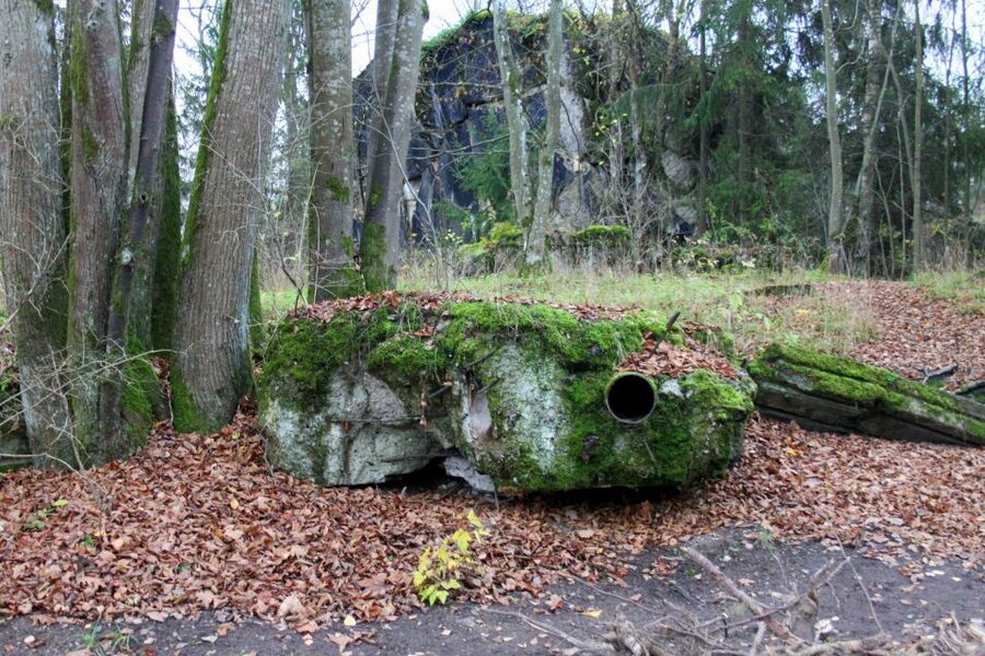 Warsaw: Private Full-Day Wolf's Lair Tour - Key highlights you’ll actually feel in the day