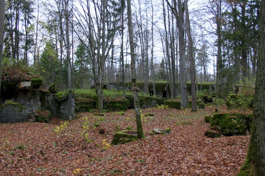 Warsaw: Private Full-Day Wolf's Lair Tour - Price and value at $382 per person