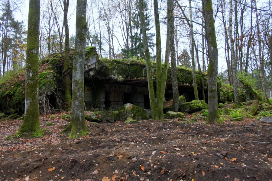 Warsaw: Private Full-Day Wolf's Lair Tour - The Warsaw-to-Masuria day plan, and the 8-hour drive reality