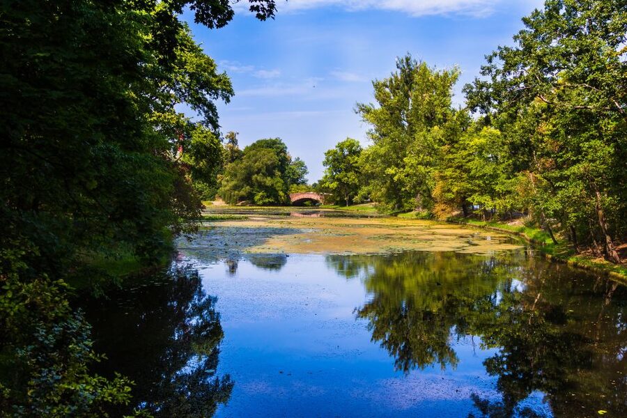 Warsaw Private Wilanow Palace & Garden Tour - Should you book it?