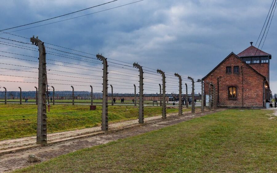 Warsaw to Auschwitz and Krakow Old Town Full-Day Trip by Car - Who this tour suits best