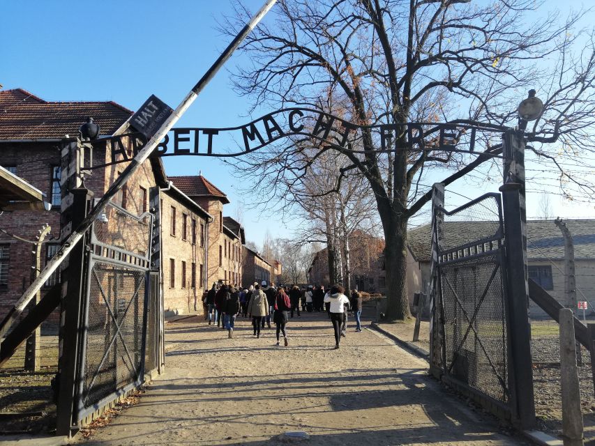 Warsaw: Tour to Krakow and Auschwitz by Train with Pickup - Things to Watch For: Names, Bags, and Pacing at the Museum