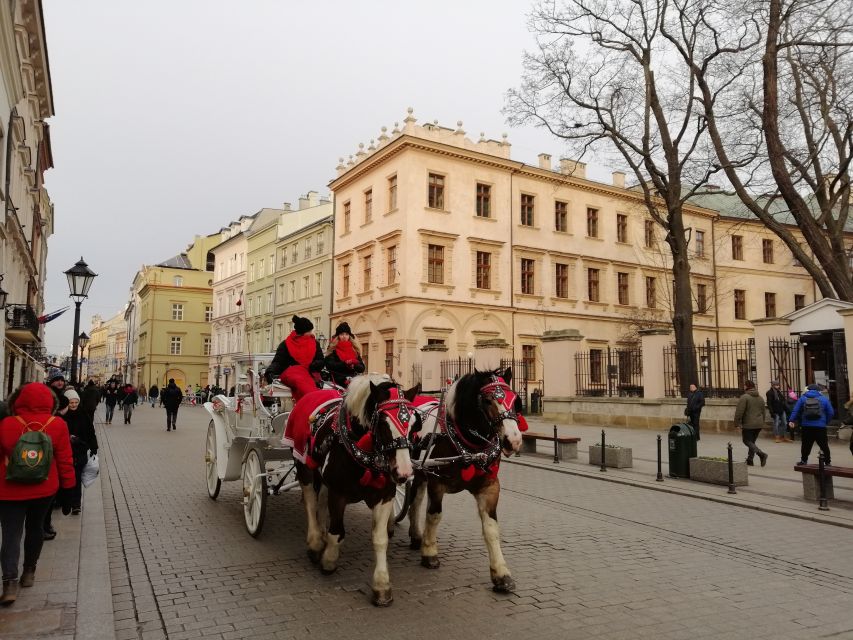 Warsaw: Tour to Krakow and Auschwitz by Train with Pickup - Should You Book This Warsaw to Krakow and Auschwitz Day Trip?