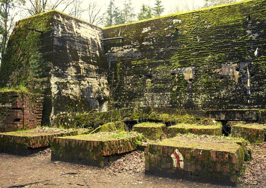 Warsaw: Wolf's Lair & Swieta Lipka Small-Group Tour + Lunch - A Long, Well-Structured Day Trip From Warsaw