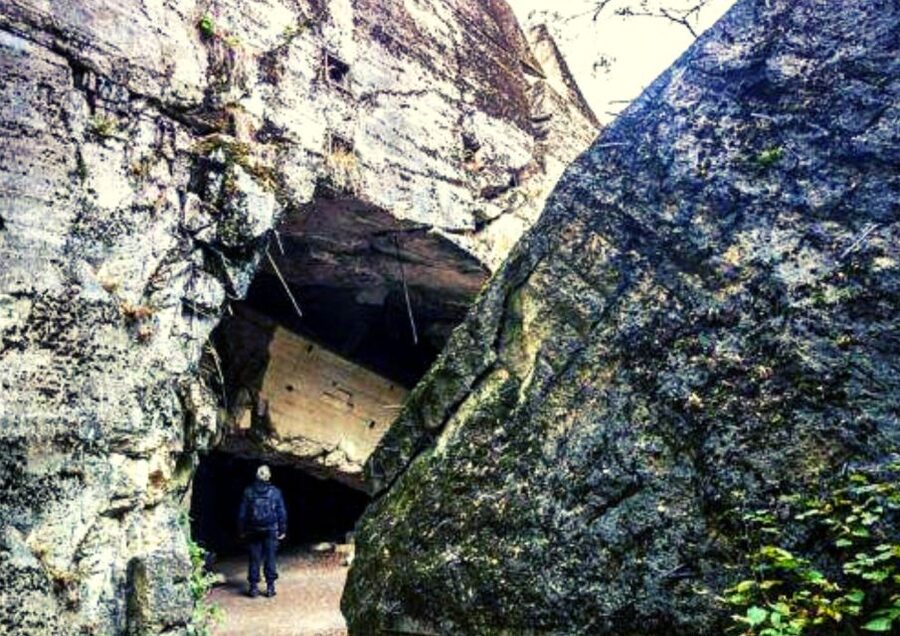 Warsaw: Wolf's Lair & Swieta Lipka Small-Group Tour + Lunch - Lunch in Poland: Pierogi That Keep the Day Moving