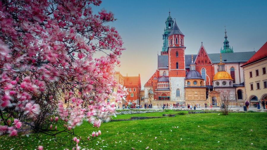 Wawel Hill Tour with Audio Guide - Key highlights you will notice right away