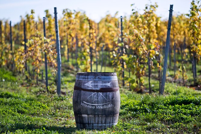 Wieliczka Vineyard: Wine tasting with local snacks - Entering Winnica Wieliczka for a focused wine tasting near Krakow