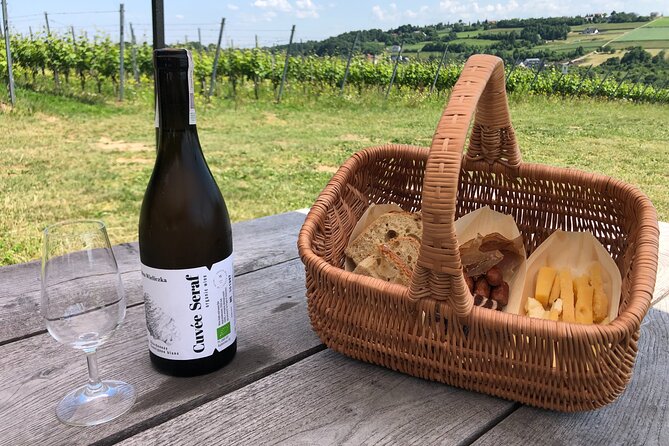 Wieliczka Vineyard: Wine tasting with local snacks - Who this tour suits best, and who should skip it