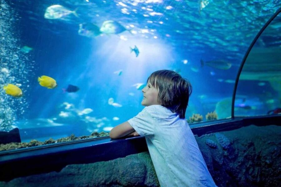 Wrocław: 2-Hour Guided Tour for Children - Key highlights you should know