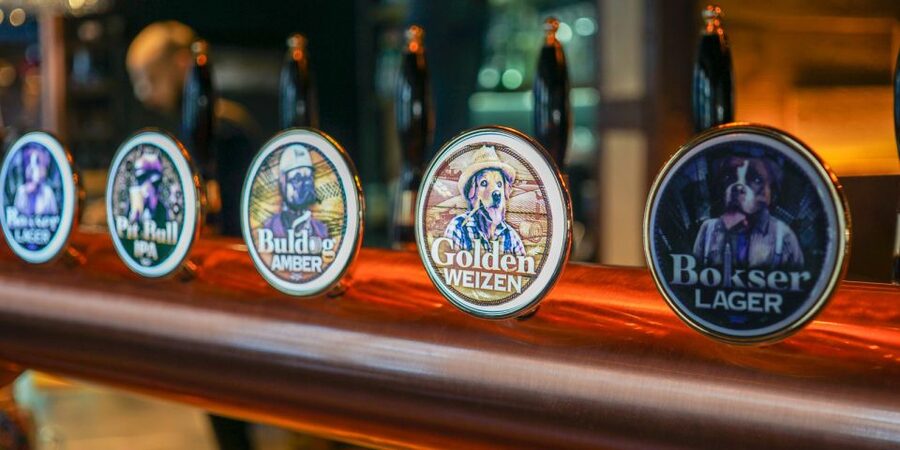 Wroclaw: Guided Tour & Beer Tasting (2 hours) - Beer Tour Begins at Piwnica Świdnicka, by the Old Town Hall