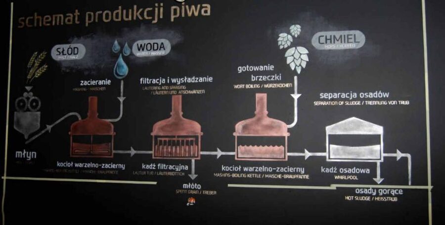 Wroclaw: Guided Tour & Beer Tasting (2 hours) - Beer Tasting Costs: What You Pay, What You Get, and How to Choose