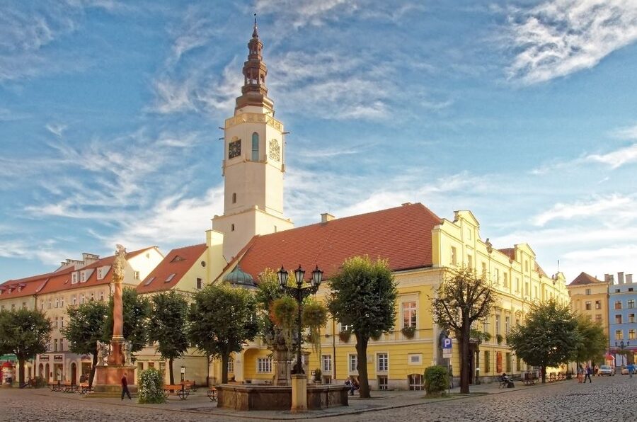 Wroclaw: Lower Silesia, Ksiaz Castle & Church of Peace Tour - Świdnica Market Square: Color, fountains, and Gothic traces