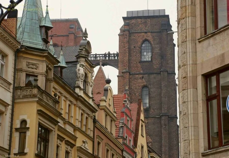 Wroclaw: Secrets of Wroclaw Walking Tour (2 hours) - Cathedral Island and Wrocław Cathedral tower secrets