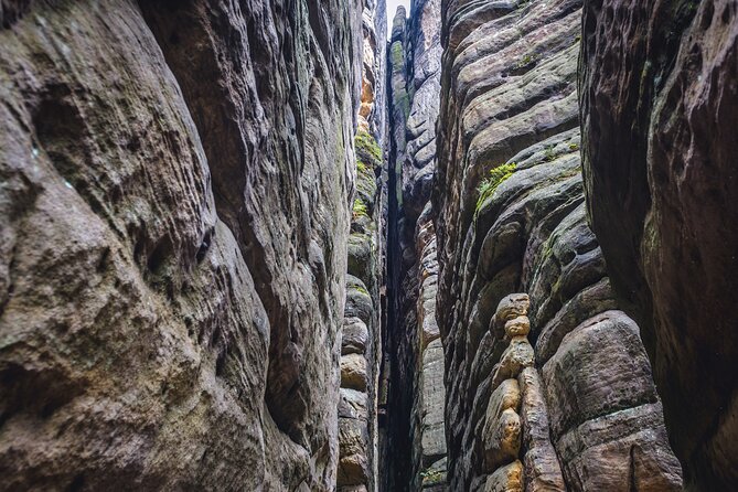 Wroclaw to Rock City in Adrsprach - What To Expect On Foot: Rock Formations, Self-Paced Exploration, Real Time On Trails