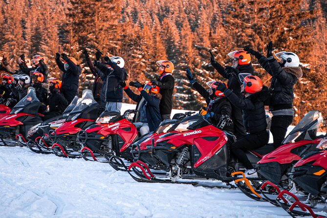 Zakopane: 3 hours Snowmobiles Guided Tour with bonfire and meal - Why This 3-Hour Zakopane Snowmobile Tour Works in Winter
