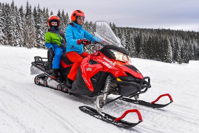 Zakopane: 3 hours Snowmobiles Guided Tour with bonfire and meal - The Mountain Ride: Snow, Speed, and Tatra Panoramas