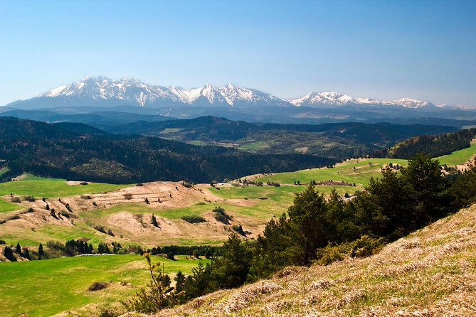 Zakopane and Tatras Mountains Day Tour from Krakow - Choosing your final culture stop: Tatra Museum or Chocholów