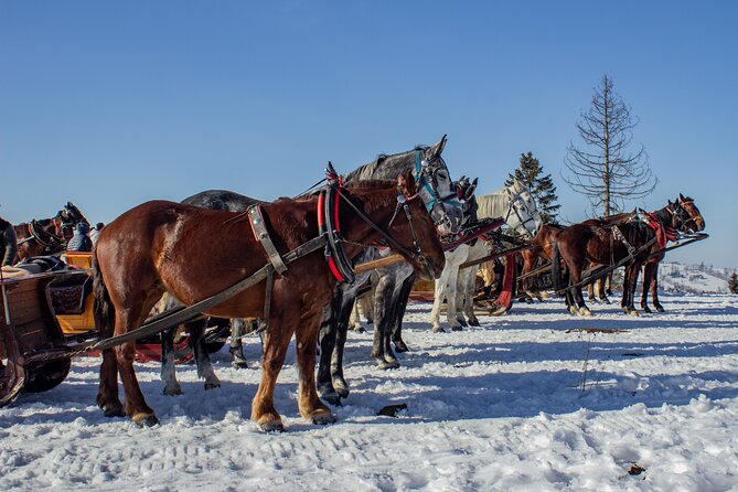Zakopane Horse-Drawn Rides with Local Guide and Food Tasting - How This Zakopane Horse Ride Works From Krakow
