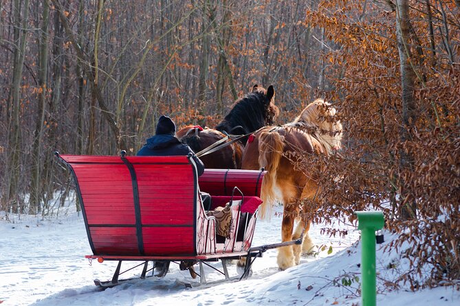 Zakopane Horse-Drawn Rides with Local Guide and Food Tasting - Regional Liqueur Tasting: A Small Addition With Big Personality