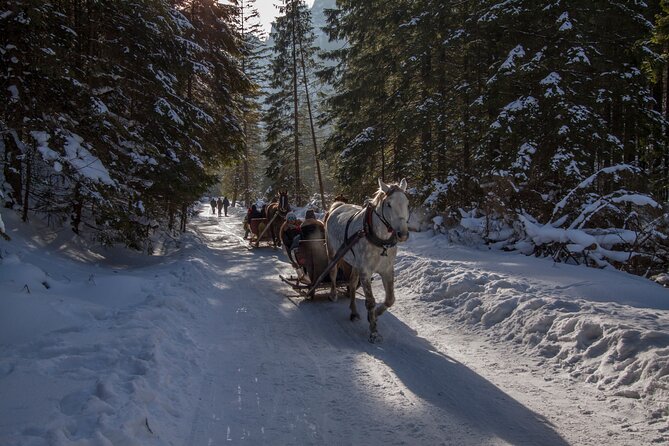 Zakopane Horse-Drawn Rides with Local Guide and Food Tasting - English-Speaking Driver and Small Group Size: Why It Matters