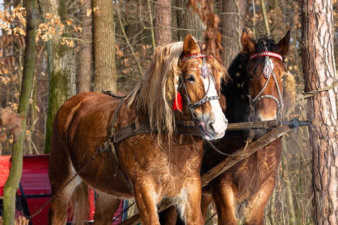 Zakopane Horse-Drawn Rides with Local Guide and Food Tasting - What I Like Most: The Best Parts to Prioritize