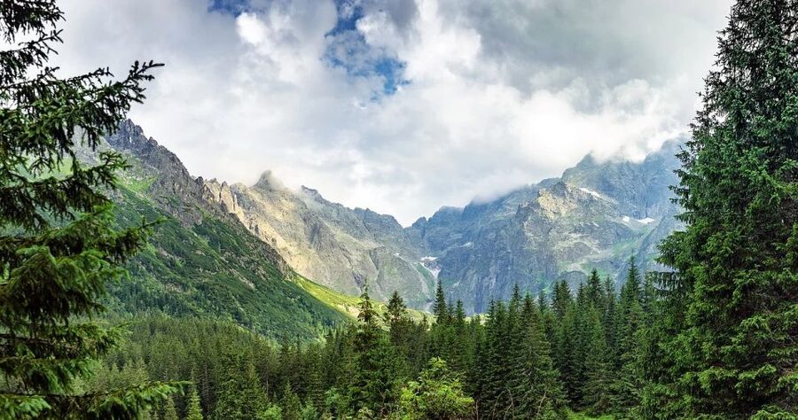 Zakopane: Sightseeing Tour from Krakow - Value check: what $105 gives you, and what it does not