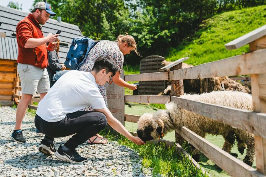 Zakopane & Tatra Mountains from Krakow – Guided Tour - Key highlights