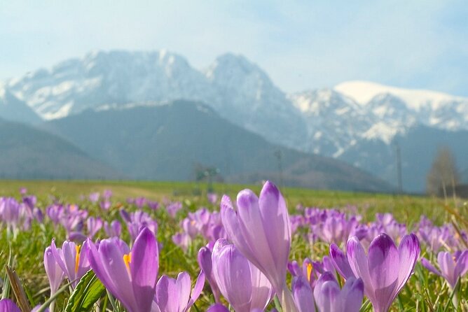 Zakopane & Tatra Mountains - Chochołów: Old Wooden Houses and a Quick Village Step-In