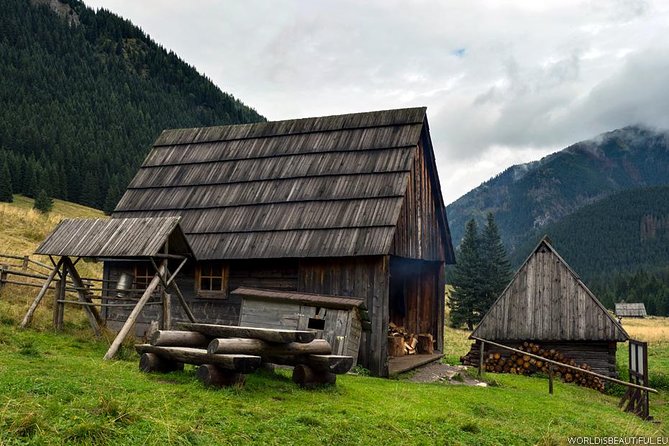 Zakopane & Thermal Springs: Private Tour - Chocholowskie Termy thermal pools: where the day turns restorative